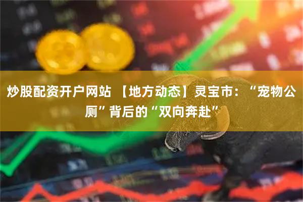 炒股配资开户网站 【地方动态】灵宝市：“宠物公厕”背后的“双向奔赴”