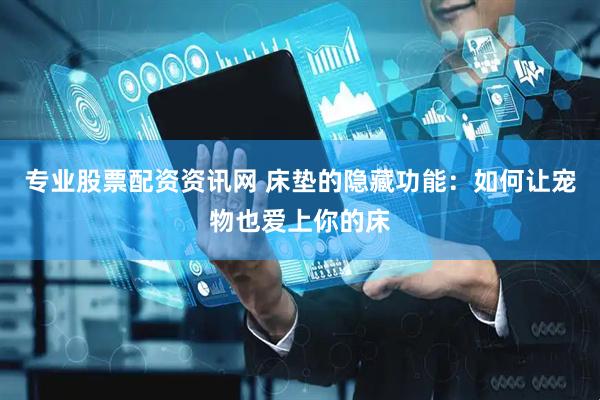 专业股票配资资讯网 床垫的隐藏功能：如何让宠物也爱上你的床