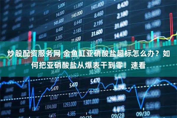 炒股配资服务网 金鱼缸亚硝酸盐超标怎么办？如何把亚硝酸盐从爆表干到零！速看