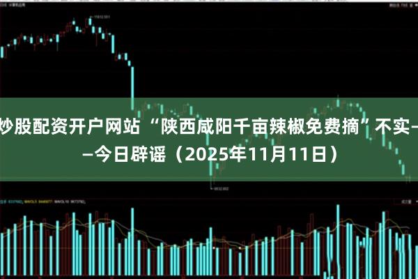 炒股配资开户网站 “陕西咸阳千亩辣椒免费摘”不实——今日辟谣（2025年11月11日）